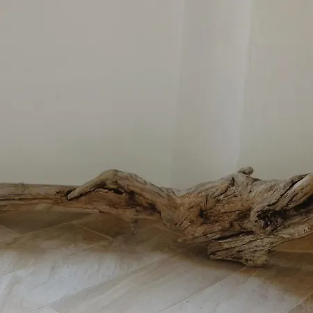 Apartmán Casa Bianchi *